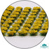 Daffodil 6mm Self Adhesive Static Grass Tufts x 100-Accessories-Geek Gaming
