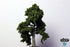 products/tree-canopy-tree-foliage-sheets-tree-foliage-4.jpg